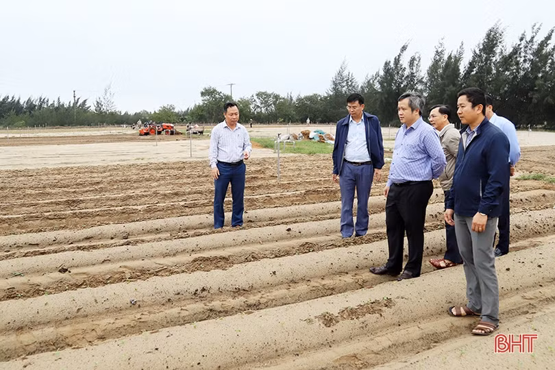 Chủ tịch UBND tỉnh Hà Tĩnh kiểm tra, động viên người dân Thạch Hà khôi phục sản xuất