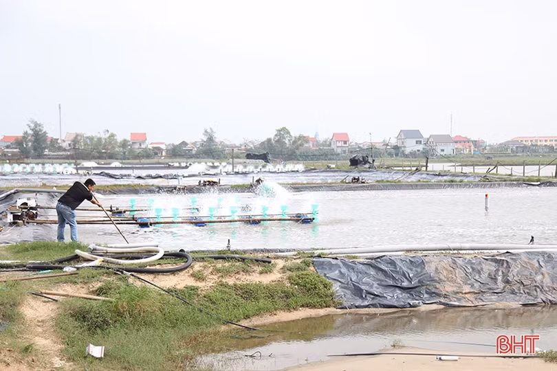 Người nuôi trồng thủy sản Hà Tĩnh thiệt hại hơn 250 tỷ đồng sau mưa lũ
