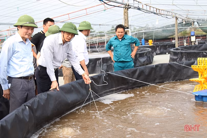 Người nuôi trồng thủy sản Hà Tĩnh thiệt hại hơn 250 tỷ đồng sau mưa lũ