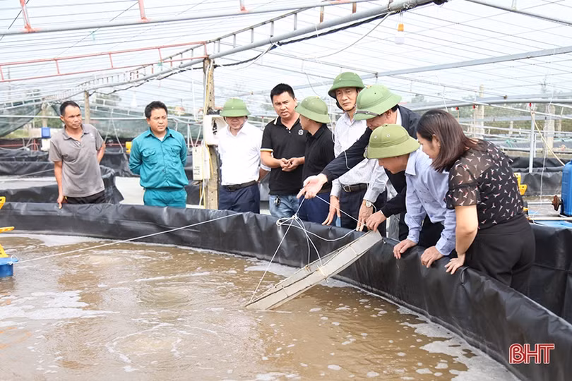 Người nuôi trồng thủy sản Hà Tĩnh thiệt hại hơn 250 tỷ đồng sau mưa lũ