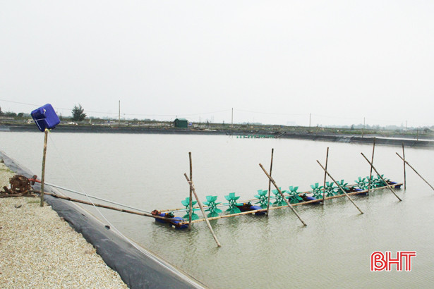 Trạm biến áp đặt thấp, nguy cơ mất an toàn tại vùng nuôi thủy sản Thạch Hà