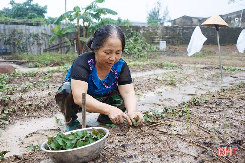 Hà Tĩnh “hồi sinh” sau mưa lũ