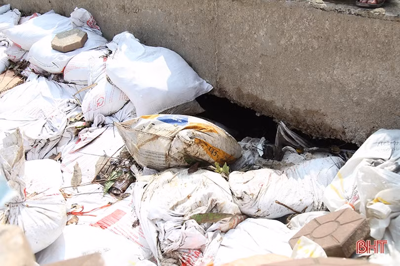 Người nuôi trồng thủy sản Hà Tĩnh thiệt hại hơn 250 tỷ đồng sau mưa lũ