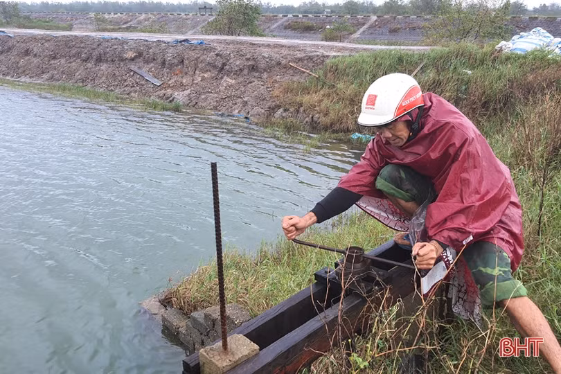 Người nuôi tôm Kỳ Anh trầy trật khôi phục sản xuất sau lũ