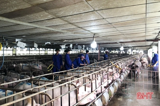 Thu ngân sách hơn 6.280 tỷ đồng, Cục Thuế Hà Tĩnh vượt dự toán Bộ Tài chính giao