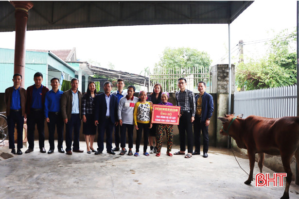 Sở Tài chính hỗ trợ bò giống cho gia đình bị thiệt hại do lũ lụt