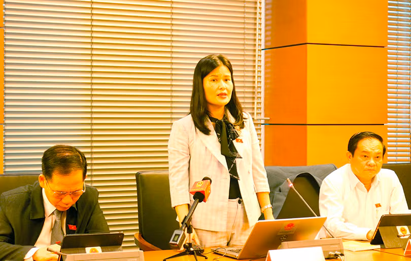 Đoàn ĐBQH Hà Tĩnh thảo luận về tình hình KT-XH và cơ cấu lại nền kinh tế