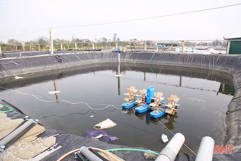 Người nuôi trồng thủy sản Hà Tĩnh thiệt hại hơn 250 tỷ đồng sau mưa lũ
