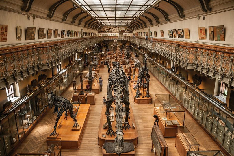 Điểm đến cho người mê khủng long khắp thế giới