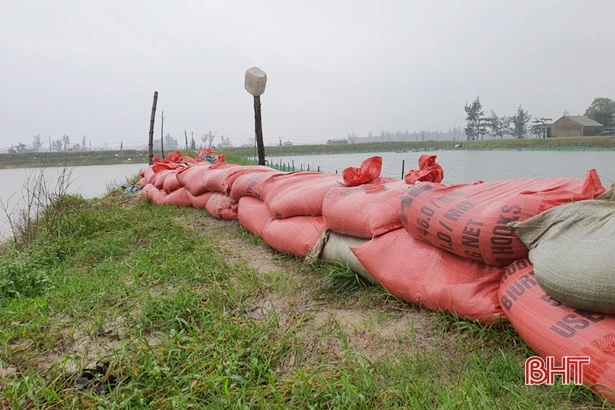 Ốc hương mất trắng sau mưa lũ, người dân xứ Cồn Vạn nợ chồng nợ!