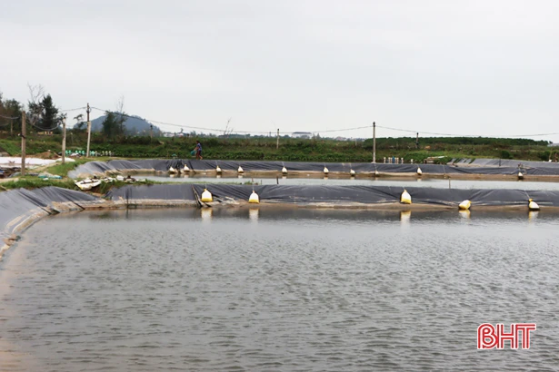 Hợp tác xã Hà Tĩnh xốc lại tinh thần, khôi phục sản xuất