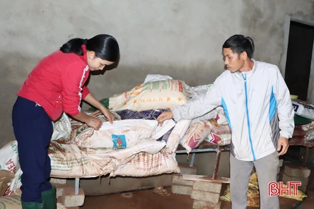 Hợp tác xã Hà Tĩnh xốc lại tinh thần, khôi phục sản xuất