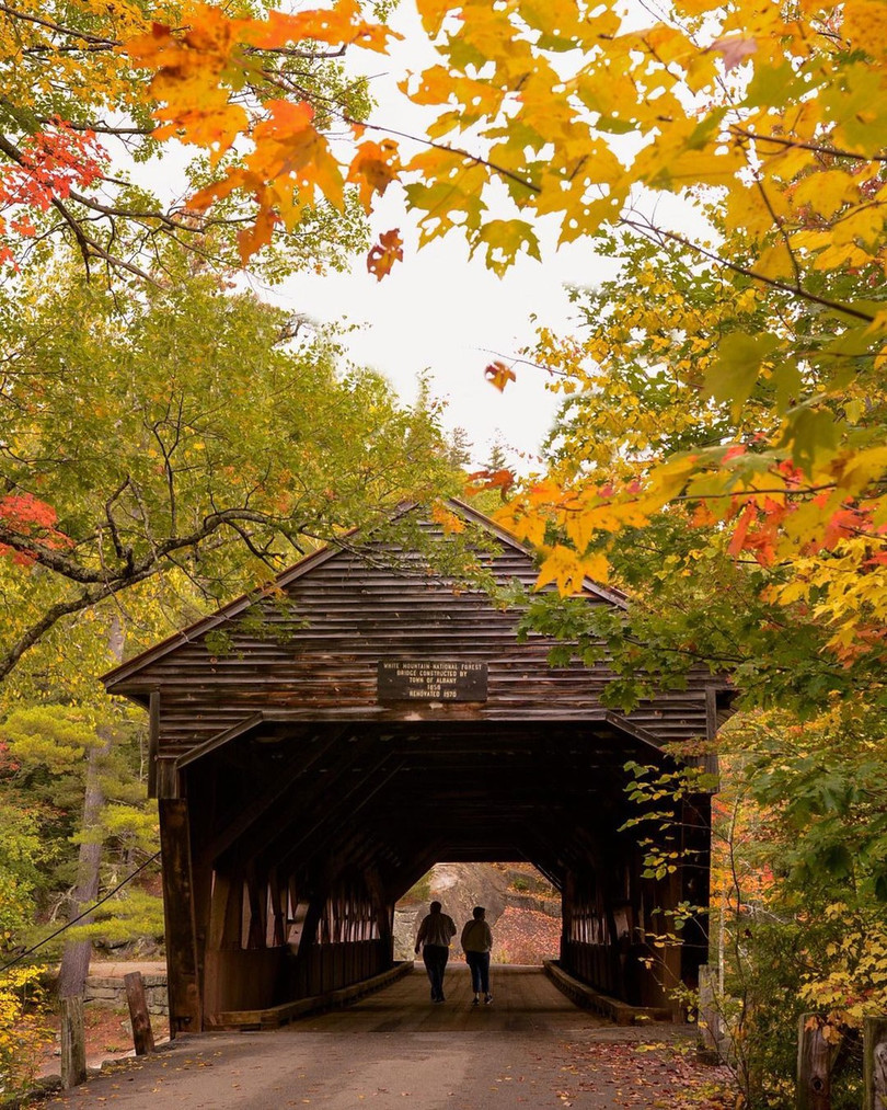 Cung đường cao tốc phủ kín rừng cây lá đỏ ở Mỹ