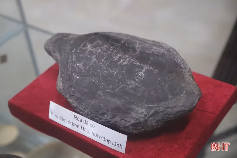 Khám phá những hiện vật quý hiếm ở bảo tàng tư nhân đầu tiên của Hà Tĩnh