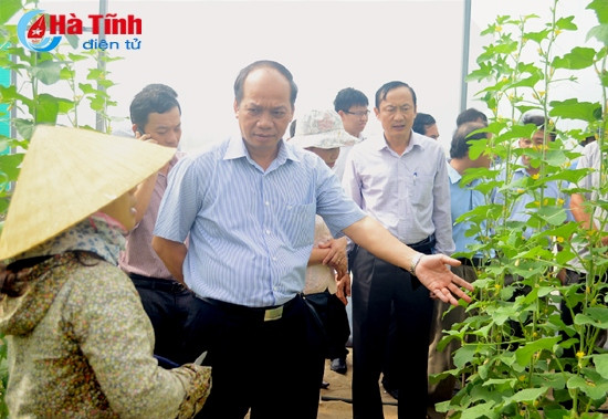 Hà Tĩnh tạo được bước đột phá trong tái cơ cấu nông nghiệp ảnh 1