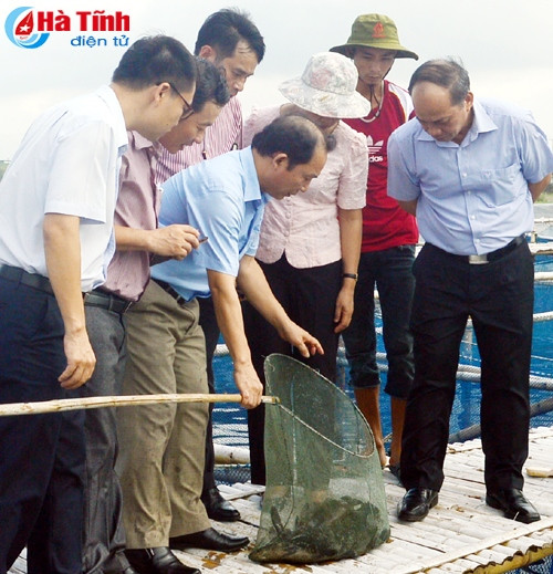 Hà Tĩnh tạo được bước đột phá trong tái cơ cấu nông nghiệp ảnh 2