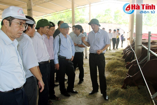 Đoàn Hội đồng Chính sách KH&CN quốc gia thăm KKT Vũng Áng và các mô hình sản xuất ở Hà Tĩnh ảnh 5
