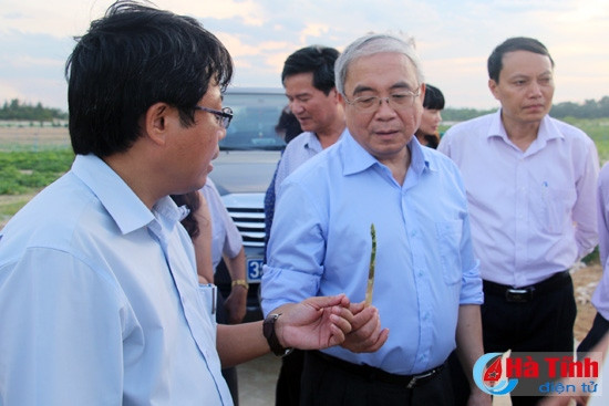 Đoàn Hội đồng Chính sách KH&CN quốc gia thăm KKT Vũng Áng và các mô hình sản xuất ở Hà Tĩnh ảnh 6