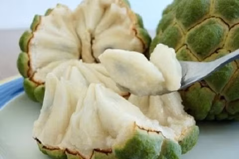 Những loại quả ngon nhưng hạt là thuốc độc nguy hiểm ảnh 1