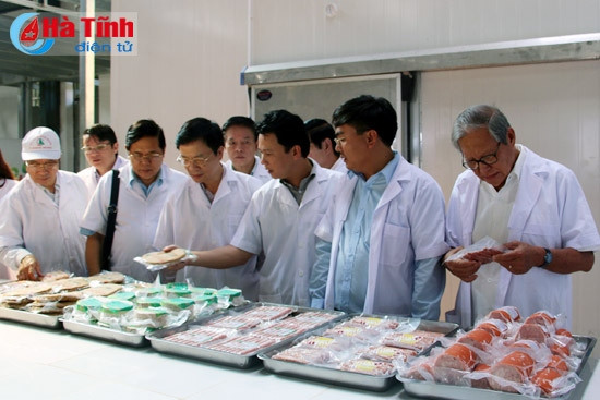 Đoàn Hội đồng Chính sách KH&CN quốc gia thăm KKT Vũng Áng và các mô hình sản xuất ở Hà Tĩnh ảnh 3