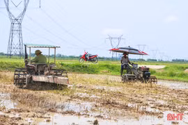 Nông dân Hà Tĩnh tất bật làm đất sản xuất vụ hè thu 