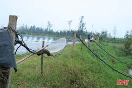 “Bẫy chết người” từ ma trận lưới điện tại hồ tôm!