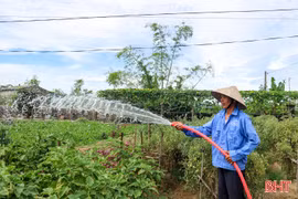 Nắng nóng kéo dài, nông dân tăng cường giải pháp giữ nguồn cung rau xanh