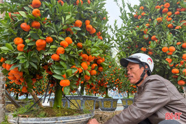 Mưu sinh ngày cận Tết, gánh ước vọng trên vai