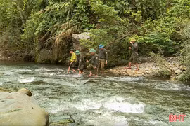 Hà Tĩnh là một trong những địa phương dẫn đầu trong chi trả chính sách ERPA