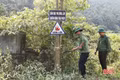 Siết chặt biện pháp phòng, chống cháy rừng ven sông Ngàn Phố