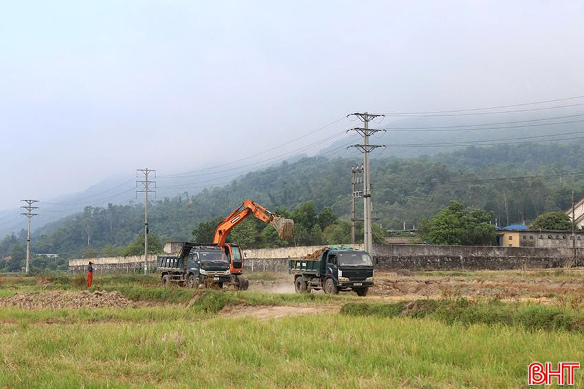 Không khí ra quân tích tụ ruộng đất ở xã Xuân Lĩnh. 5.jpg