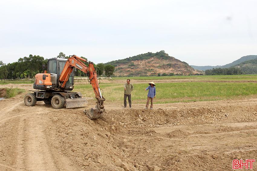 Năm 2024, toàn huyện sẽ thực hiện tích tụ hơn 1.614 ha đất nông nghiệp. 3.jpg