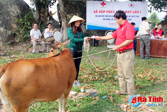 hoi chu thap do ha tinh phat huy vai tro nong cot trong hoat dong nhan dao