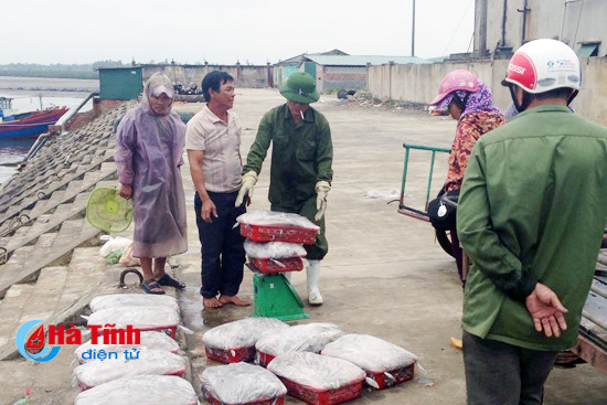 tau thuyen cap ben 15 tan muc het veo tai cang cua sot