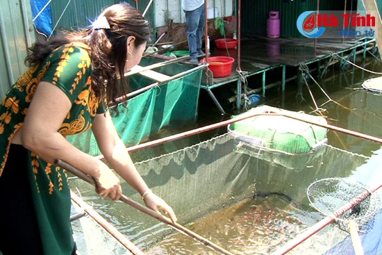 muc nhay vung ang hap dan thuc khach muon phuong