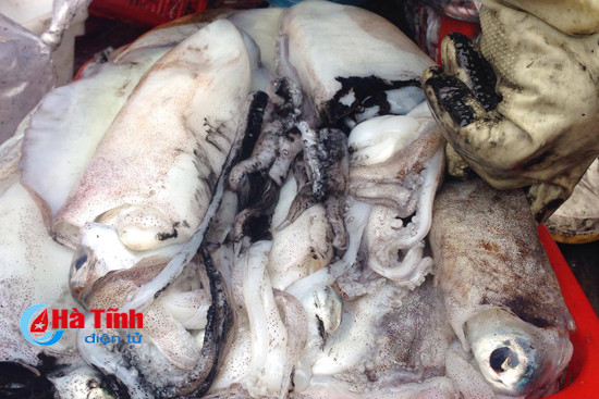 tau thuyen cap ben 15 tan muc het veo tai cang cua sot