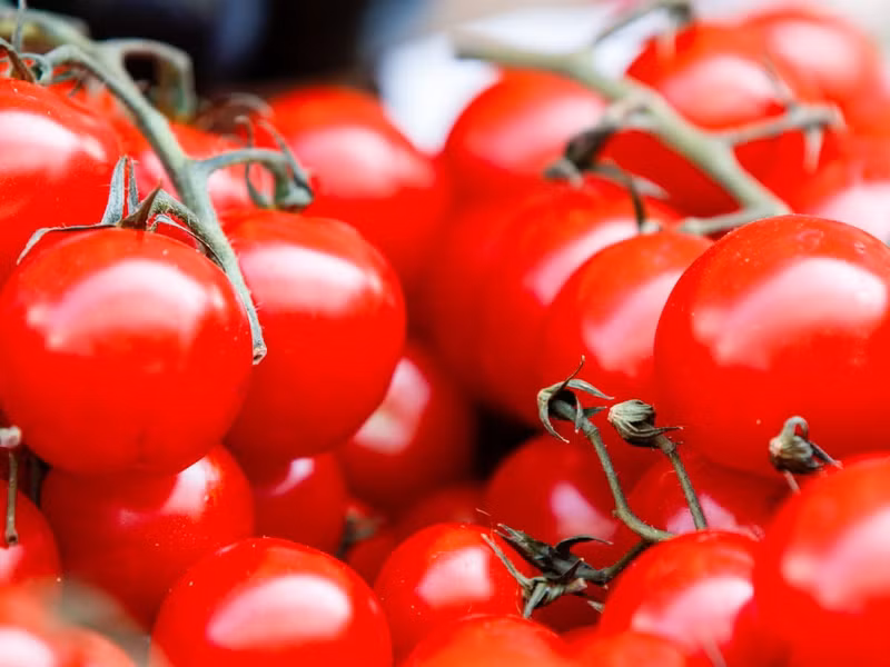 14 thuc pham an thoai mai khong lo tang can