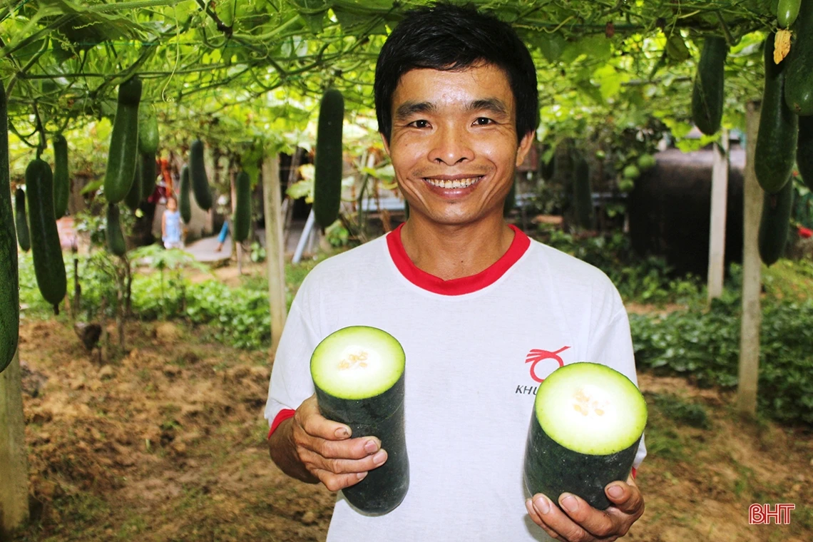 Khám phá “miền quê đáng sống” 4 lần được phong tặng danh hiệu anh hùng ở Hà Tĩnh