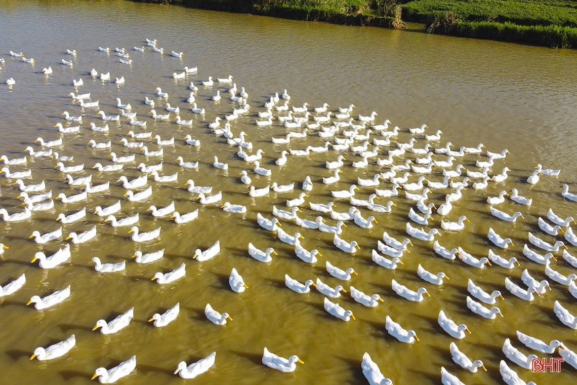 Khám phá “miền quê đáng sống” 4 lần được phong tặng danh hiệu anh hùng ở Hà Tĩnh