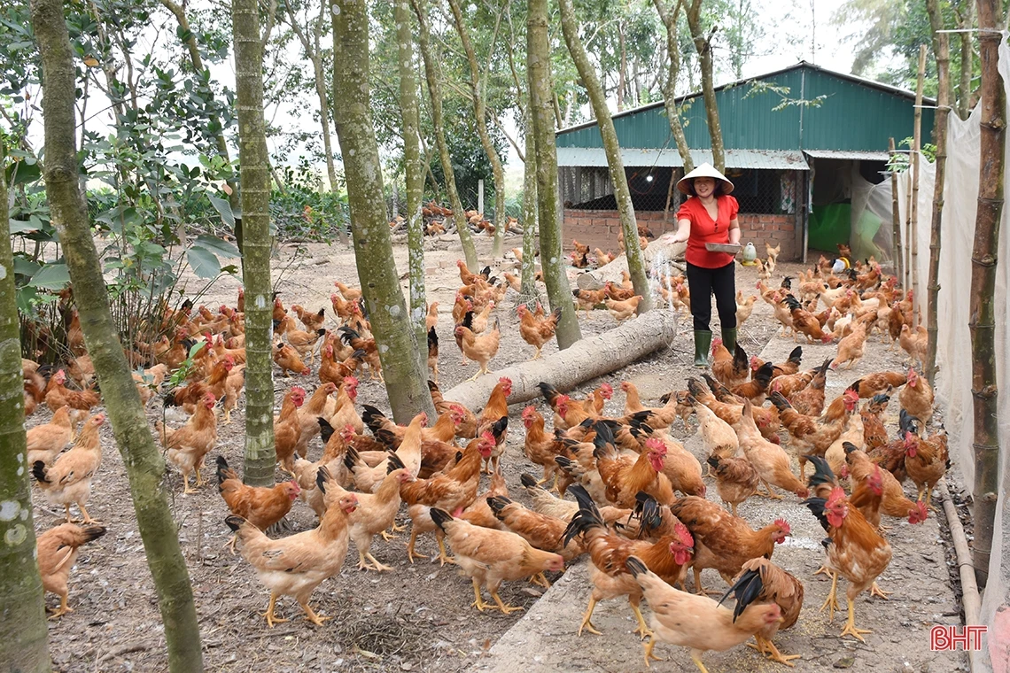 Khám phá “miền quê đáng sống” 4 lần được phong tặng danh hiệu anh hùng ở Hà Tĩnh