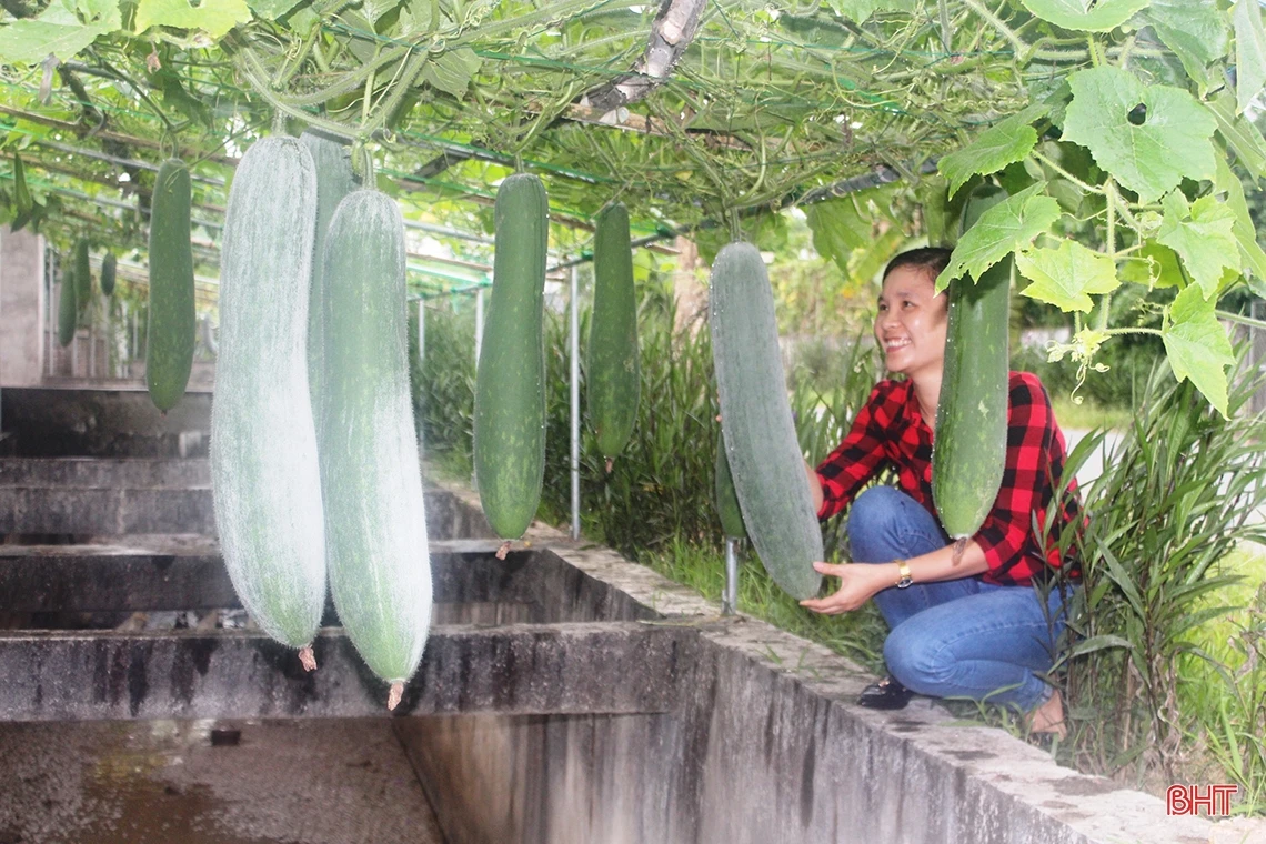 Khám phá “miền quê đáng sống” 4 lần được phong tặng danh hiệu anh hùng ở Hà Tĩnh