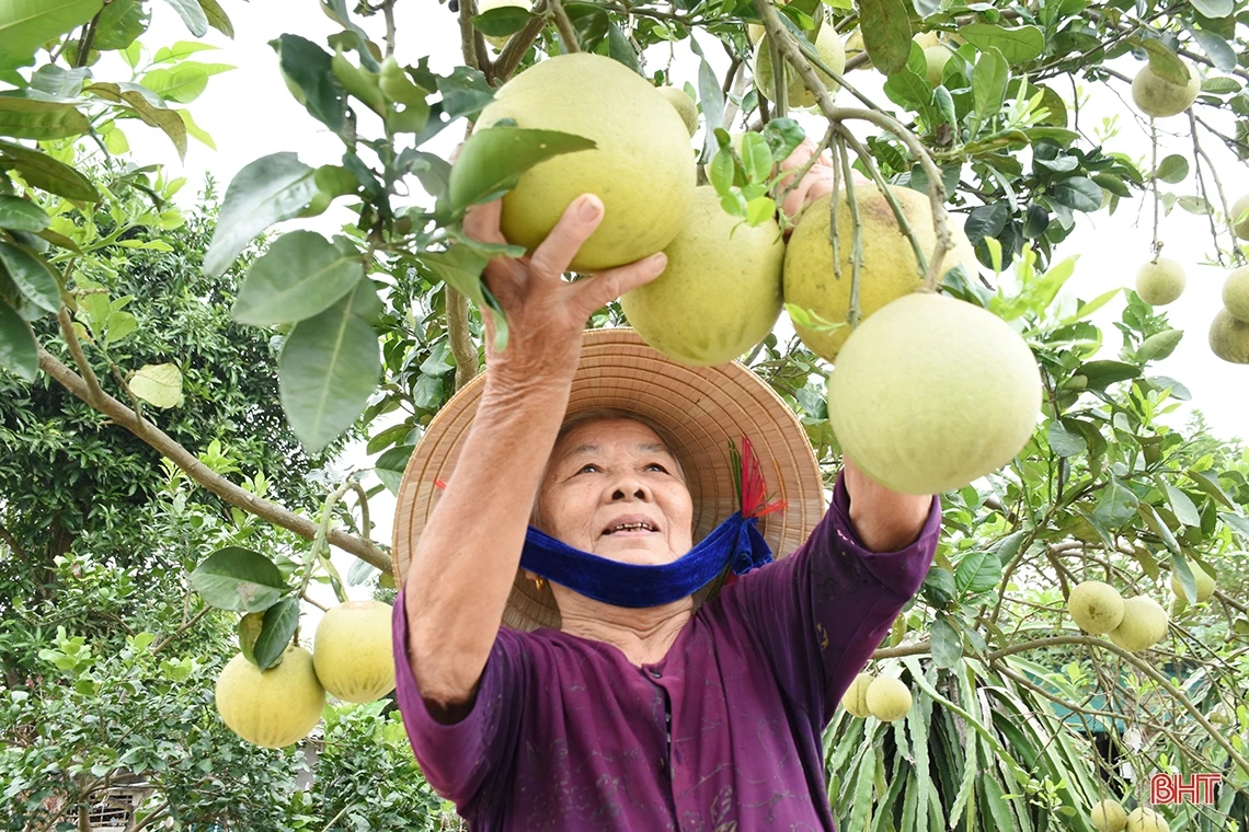 Khám phá “miền quê đáng sống” 4 lần được phong tặng danh hiệu anh hùng ở Hà Tĩnh