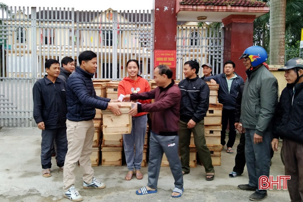 800 đàn ong giống giúp người dân Hương Sơn xây dựng mô hình VietGAP