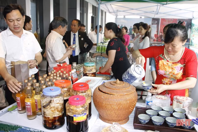 Du lịch Hà Tĩnh vượt khó, tìm hướng đi bền vững