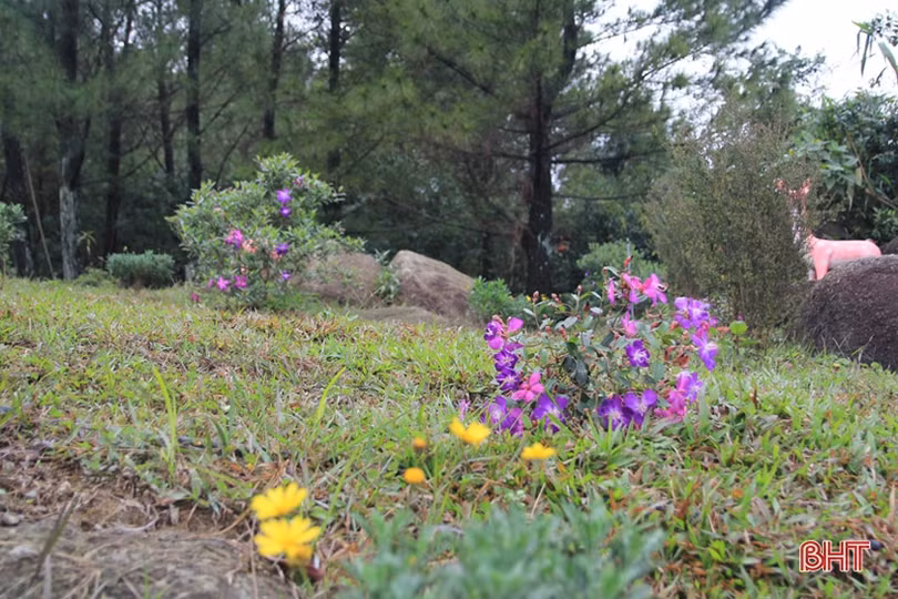 Xuân sớm trên “Hoan Châu đệ nhất danh lam” 