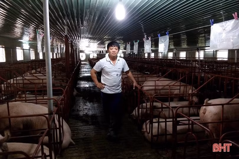 Tạo giá trị bền vững trong xây dựng nông thôn mới ở Hà Tĩnh