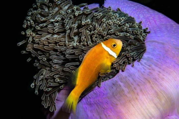 15 tác phẩm đoạt giải ảnh kiến trúc The Art of Building 2020