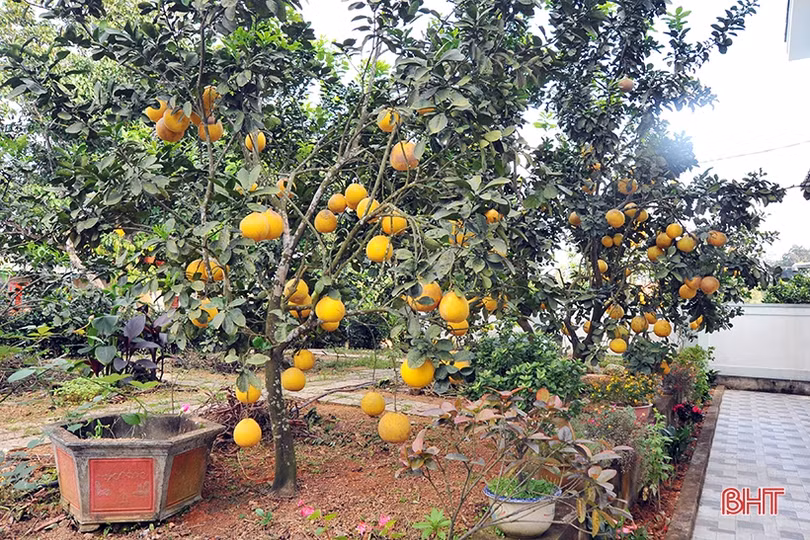 Vũ Quang lan toả phong trào làm vườn mẫu, cụm dân cư xanh - sạch - đẹp