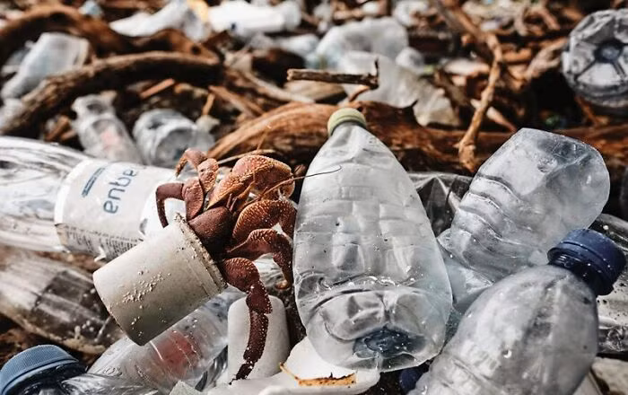 Mê mẩn những bức ảnh chụp đại dương đẹp nhất năm 2020