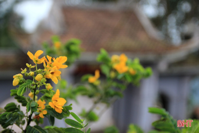 Xuân sớm trên “Hoan Châu đệ nhất danh lam” 